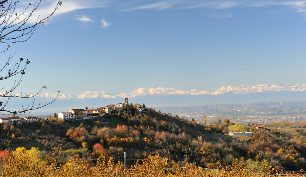 Landschaft bei Alba im Piemont, im Hintergrund die Alpen