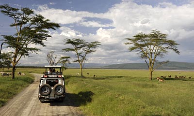 Nakuru-Nationalpark, Kenia