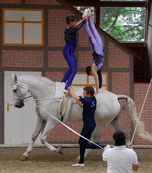 Pegasus Mühlacker