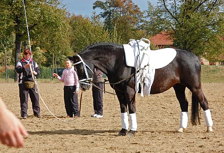 Einzel Schritt